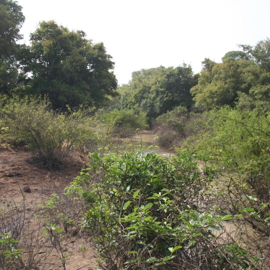 Parco nazionale di Kaboré Tambi