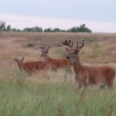 Cherry Creek State Park