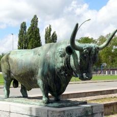 Bull
