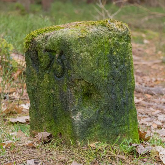 Grenzstein Fürther Stadtwald in Fürth
