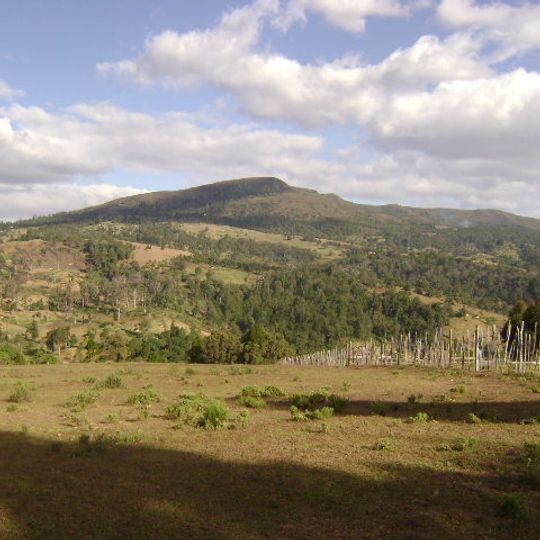 Cherangani Hills Forest