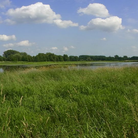 Braunschweiger Okeraue