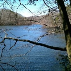 Paugussett State Forest