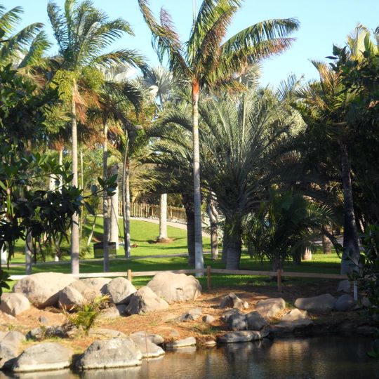 Palmetum de Santa Cruz de Tenerife