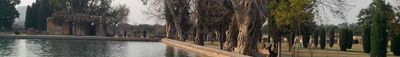 Panoramic View 1