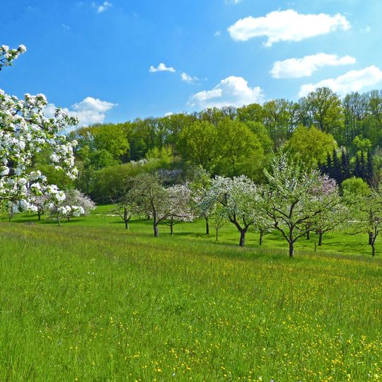 LSG 'Wendlingen am Neckar' vom 25.11.1992