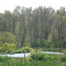 Riserva naturale di Crava Morozzo