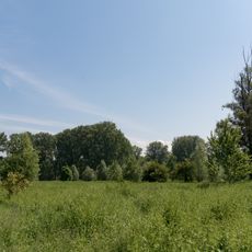 Hammer Aue von Gernsheim und Groß-Rohrheim