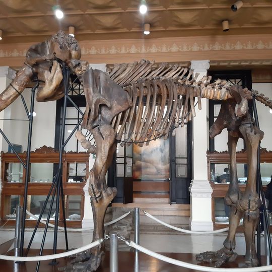 Museo del Instituto de Geología de la UNAM