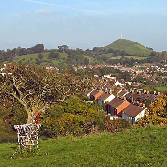 Glastonbury Thorn