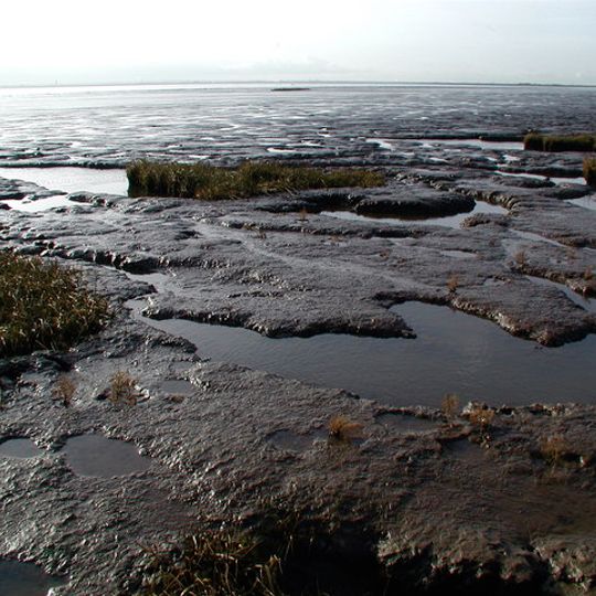 Priorado de Birstall