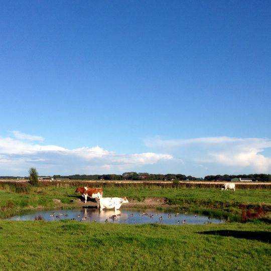 Huiswierde met naastgelegen dobbe