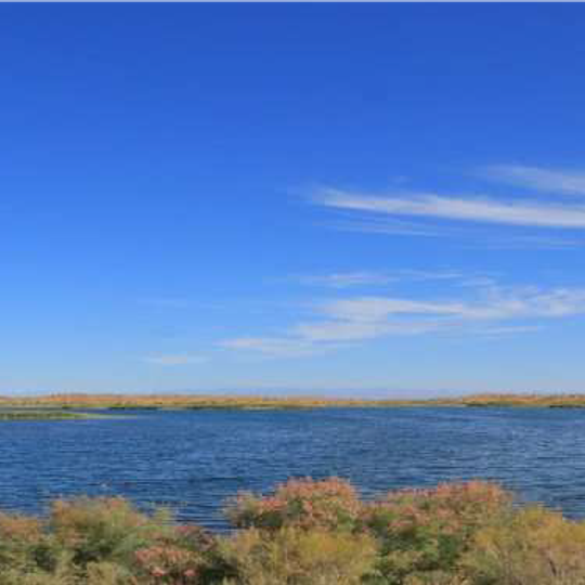 State wildlife sanctuary “Khadicha”