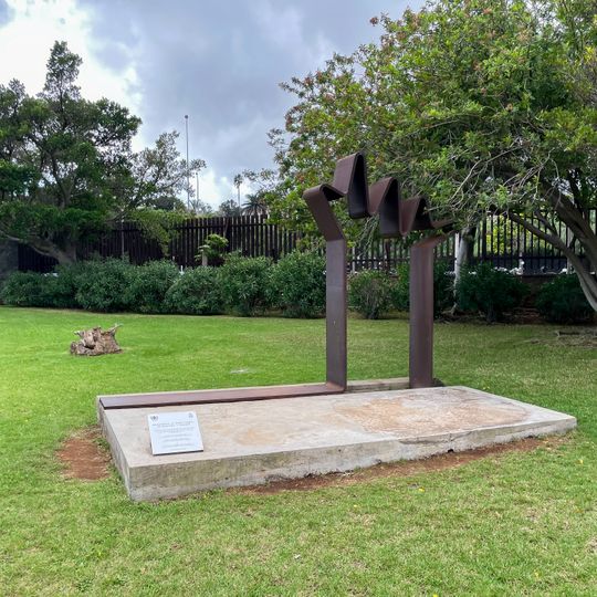 Al practicante en medicina y cirugía