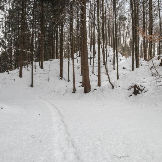 Burgrest Alt-Heiligenberg