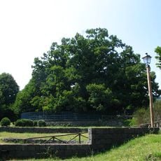 Castaño de los cien caballos