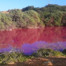 Salinas de Guaranao