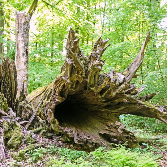 Metzgergraben - Krone