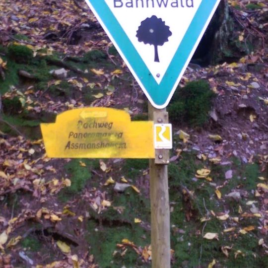 Teufelskadrich bei Lorch