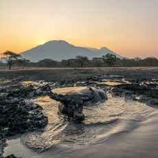 Baluran National Park