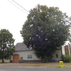 Naturdenkmal Sommerlinde