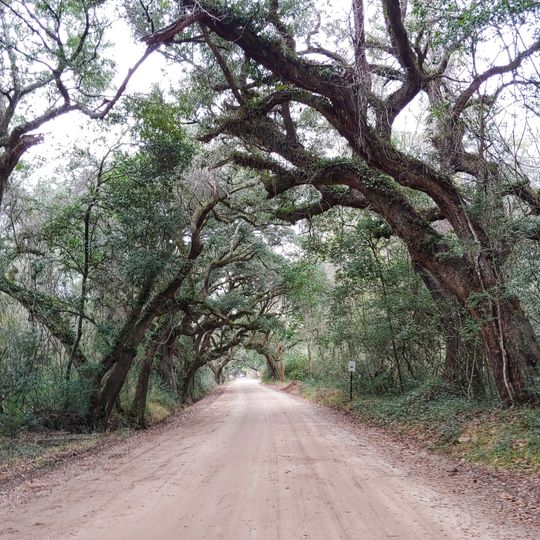 Botany Bay Plantation Wildlife Management Area