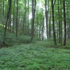 Naturschutzgebiet Dreiherrenstein-Eschenberg-Kreutzerberg