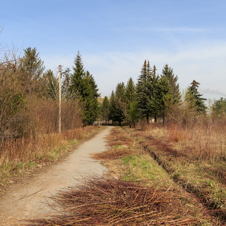 Botanischer Garten Bischkek