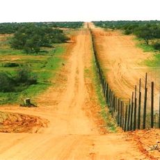 Dingo Fence