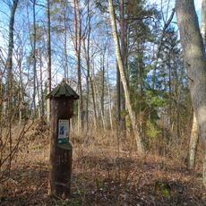 Ventos-Dubysos perkaso pušys