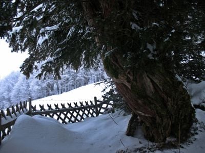 Invierno 1