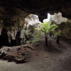 Naracoorte nationalpark