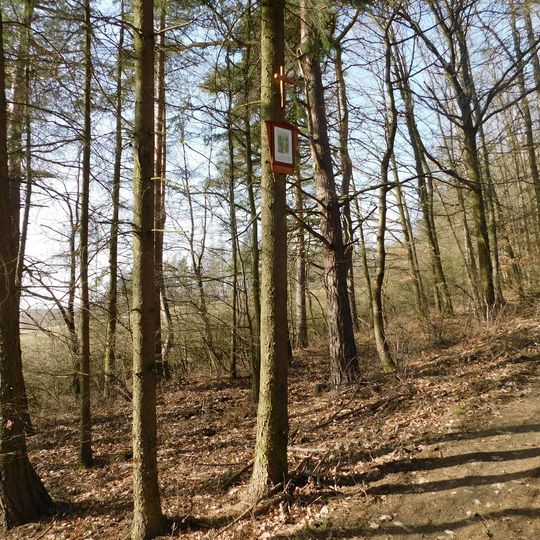 5. zastavení křížové cesty Ondřejov - Kaliště