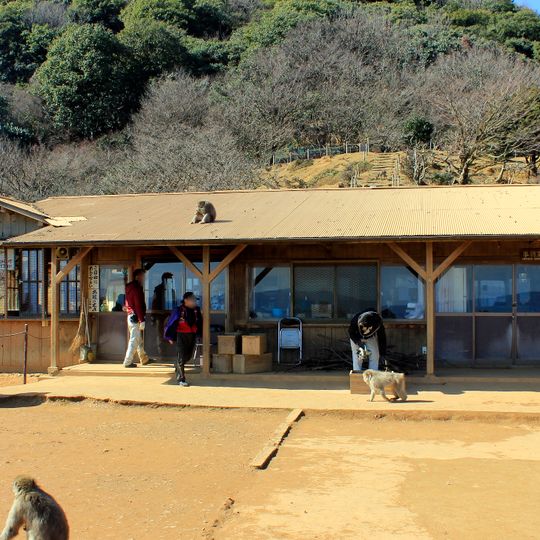 Parc au singes d'Iwatayama