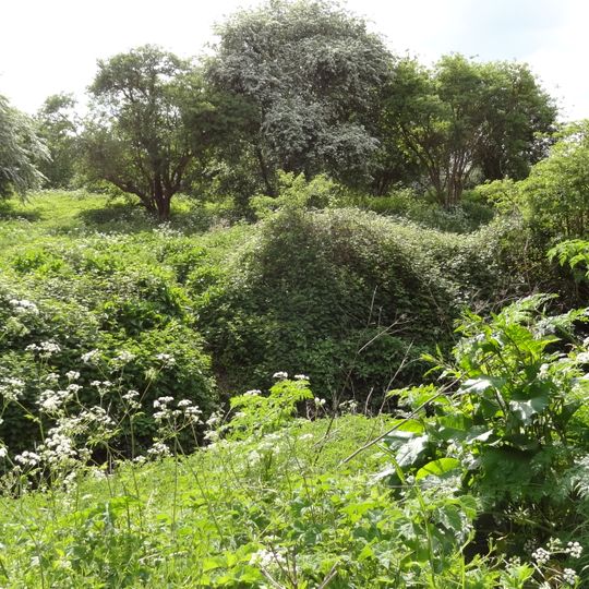 Southwood Open Space