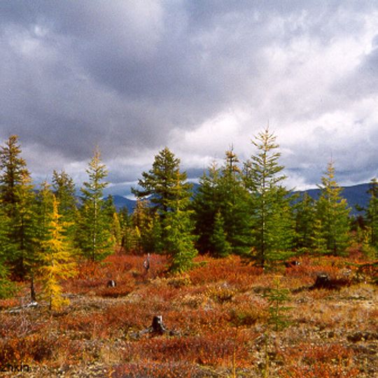 Eastern Siberian Bergland