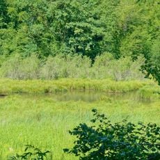 Wälder, Wiesen und Feuchtgebiete bei Jestetten