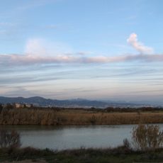 Desembocadura del Guadalhorce