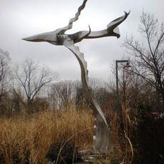 Ascent the Wind