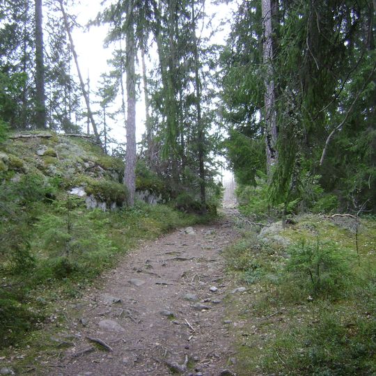 Park Narodowy Tyresta