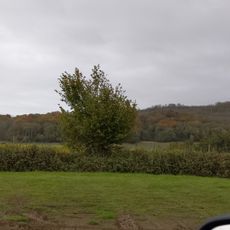 Bignor Roman Villa
