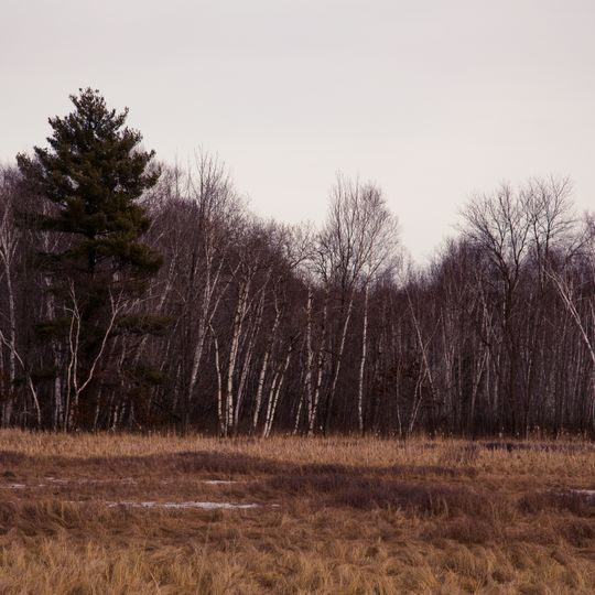 Carlos Avery State Wildlife Management Area