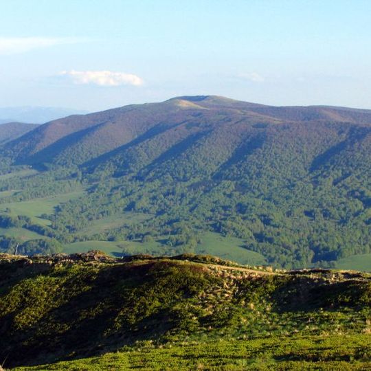 Wooded Carpathians