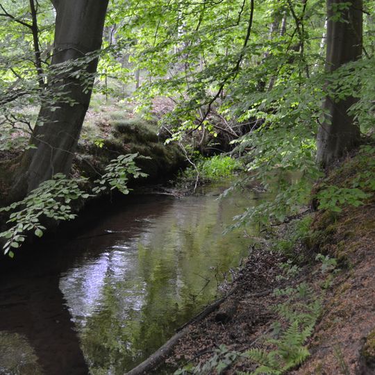 Hohes Holz mit Ketzheide und Gewässern