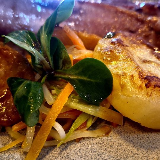 Domaine du Château des Vigiers