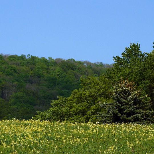 Trockenlebensräume - Siebenberge, Vorberge