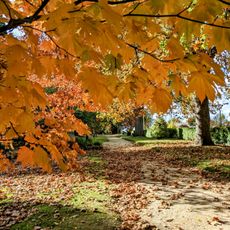Cook Park