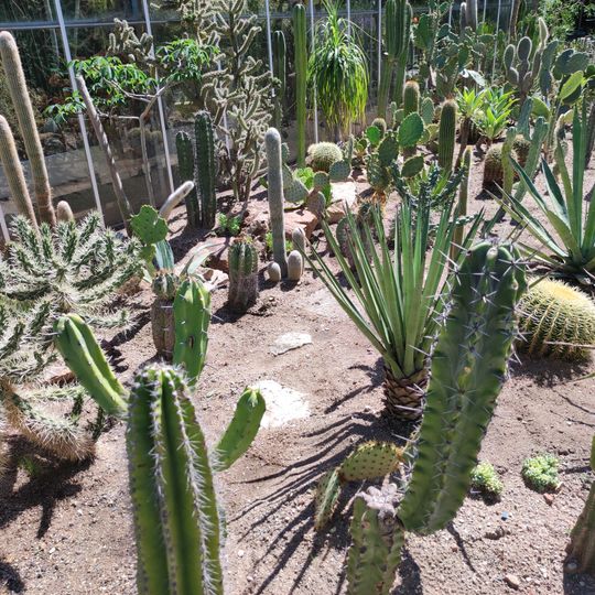 Serres municipales de Sens