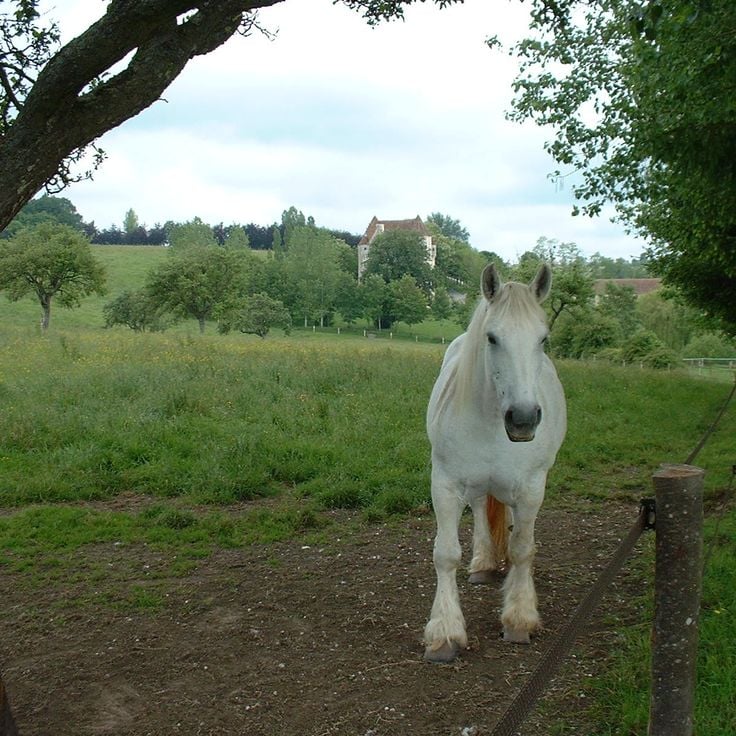 Perche Regional Nature Park