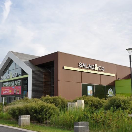 Salad&Co